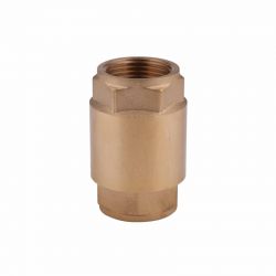 SD FORTE Обратный клапан  1" EURO